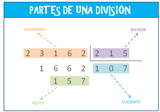 Como se hace una división de 3 cifras