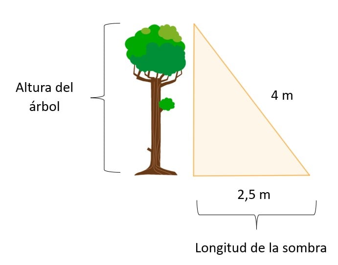 Ejemplo de un ejercicio que se resuelve con el teorema de Pitágoras