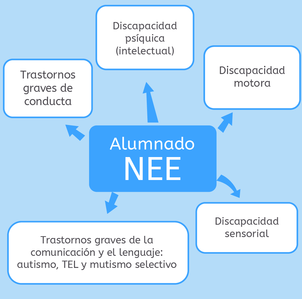 Necesidades educativas especiales