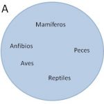 La teoría de conjuntos como técnica de estudio