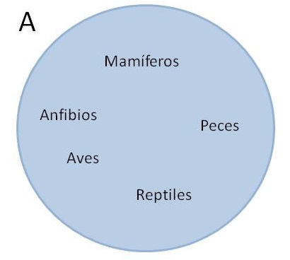 teoría de conjuntos