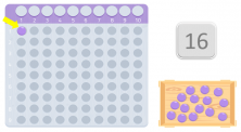 Tablero para multiplicar