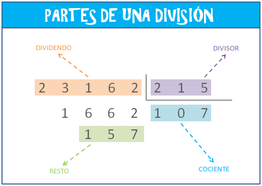 Partes de una división